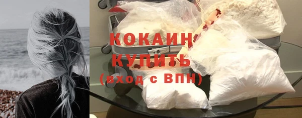 прущие грибы Аркадак