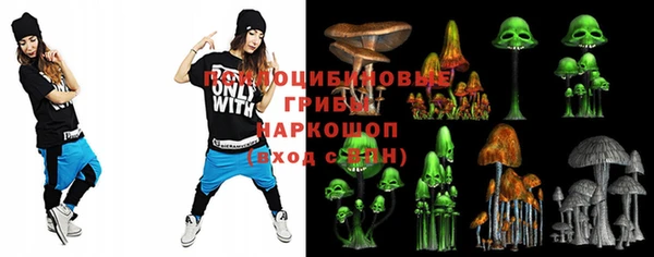 прущие грибы Аркадак