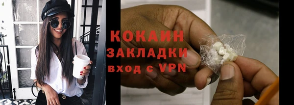 прущие грибы Аркадак