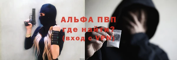 стаф Арсеньев