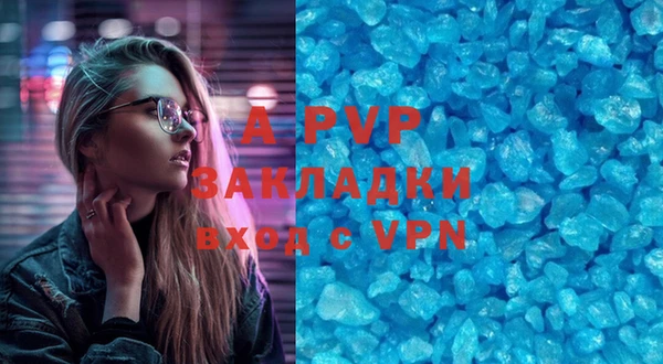 стаф Арсеньев